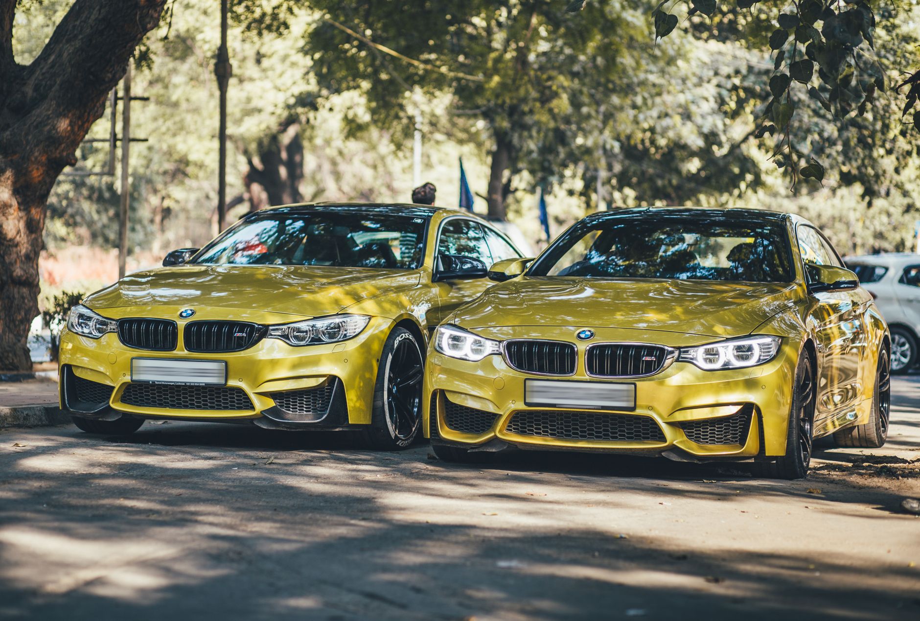 Two luxury BMW cars parked under trees in New Delhi on a sunny day. — Get the Help of Matrix Auto Collision